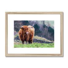 Load image into Gallery viewer, Raspberry Cow Framed & Mounted Print