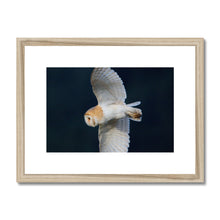 Load image into Gallery viewer, Barn Owl In The Dark Framed & Mounted Print