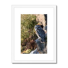 Load image into Gallery viewer, Tawny on the Rocks Framed & Mounted Print