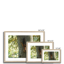 Load image into Gallery viewer, Mission Impossible Red Squirrel Framed & Mounted Print