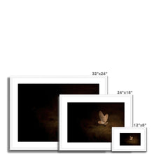 Load image into Gallery viewer, Hibou Framed & Mounted Print
