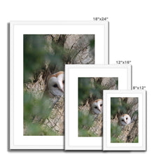 Load image into Gallery viewer, Hello Barn Owl Framed & Mounted Print