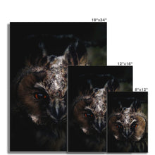 Load image into Gallery viewer, Looking in to your soul Fine Art Print