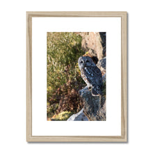 Load image into Gallery viewer, Tawny on the Rocks Framed & Mounted Print