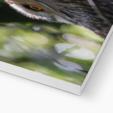 Load image into Gallery viewer, Long Eared Owl Canvas