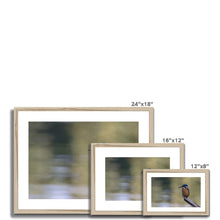 Load image into Gallery viewer, Kingfisher Framed & Mounted Print