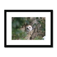 Load image into Gallery viewer, Hello Barn Owl Framed & Mounted Print