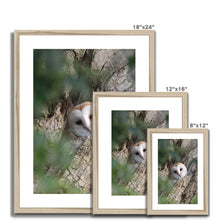 Load image into Gallery viewer, Hello Barn Owl Framed & Mounted Print