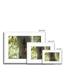 Load image into Gallery viewer, Mission Impossible Red Squirrel Framed & Mounted Print