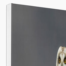 Load image into Gallery viewer, Short Eared Owl Canvas