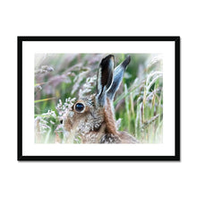 Load image into Gallery viewer, Magical Hare Framed & Mounted Print