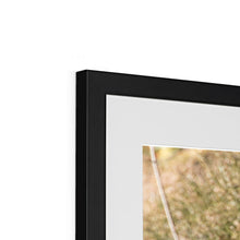 Load image into Gallery viewer, Tawny on the Rocks Framed & Mounted Print