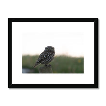 Load image into Gallery viewer, Little Owl Framed & Mounted Print
