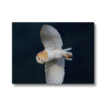 Load image into Gallery viewer, Barn Owl In The Dark Canvas