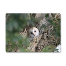 Load image into Gallery viewer, Hello Barn Owl Placemat