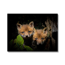 Load image into Gallery viewer, Fox Cubs Canvas