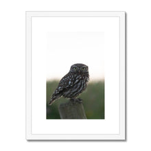 Load image into Gallery viewer, Little Owl Framed & Mounted Print