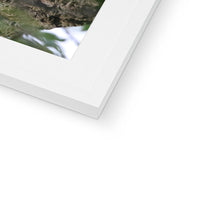 Load image into Gallery viewer, Hello Barn Owl Framed & Mounted Print