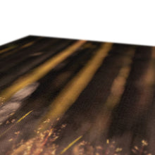 Load image into Gallery viewer, Golden Long Eared Owl Canvas