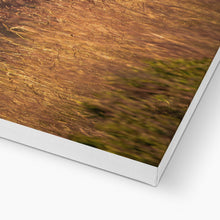 Load image into Gallery viewer, Golden Long Eared Owl Canvas