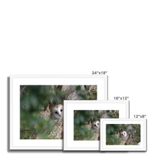 Load image into Gallery viewer, Hello Barn Owl Framed & Mounted Print