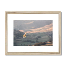 Load image into Gallery viewer, Barn Owl over the Peaks Framed & Mounted Print