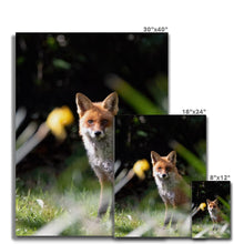 Load image into Gallery viewer, Foxy Canvas