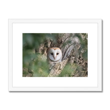 Load image into Gallery viewer, Owl In Hollow Framed & Mounted Print