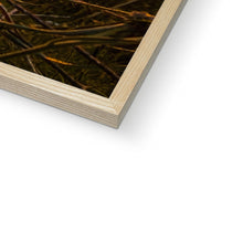 Load image into Gallery viewer, image17
