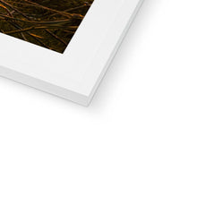 Load image into Gallery viewer, image10
