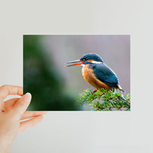 Load image into Gallery viewer, image0
