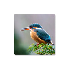 Load image into Gallery viewer, image0
