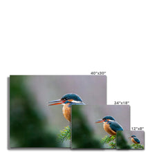 Load image into Gallery viewer, image
