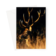 Load image into Gallery viewer, Lights, camera, action Greeting Card
