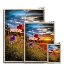Load image into Gallery viewer, image
