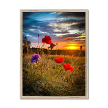 Load image into Gallery viewer, image14
