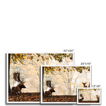 Load image into Gallery viewer, On The Stage Framed Print
