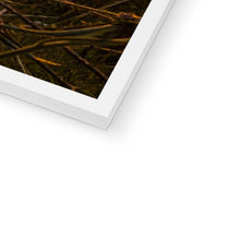 Load image into Gallery viewer, image16
