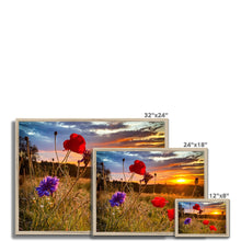 Load image into Gallery viewer, image
