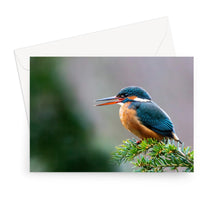 Load image into Gallery viewer, image3
