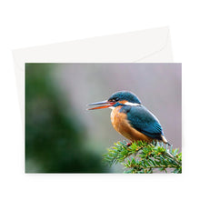 Load image into Gallery viewer, image0
