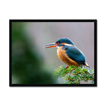 Load image into Gallery viewer, image6
