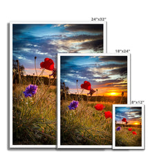 Load image into Gallery viewer, image
