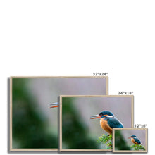 Load image into Gallery viewer, image
