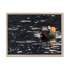 Load image into Gallery viewer, Tail Feathers Framed Print
