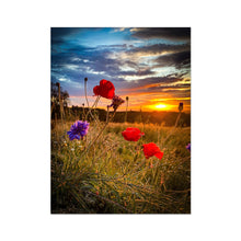 Load image into Gallery viewer, image4
