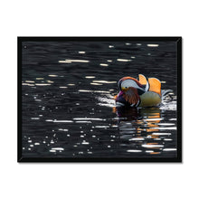 Load image into Gallery viewer, Tail Feathers Framed Print
