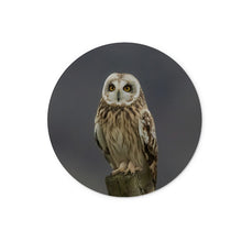 Load image into Gallery viewer, Short Eared Owl Glass Chopping Board
