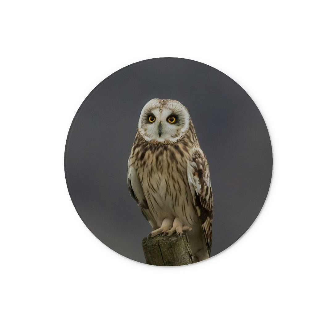 Short Eared Owl Glass Chopping Board