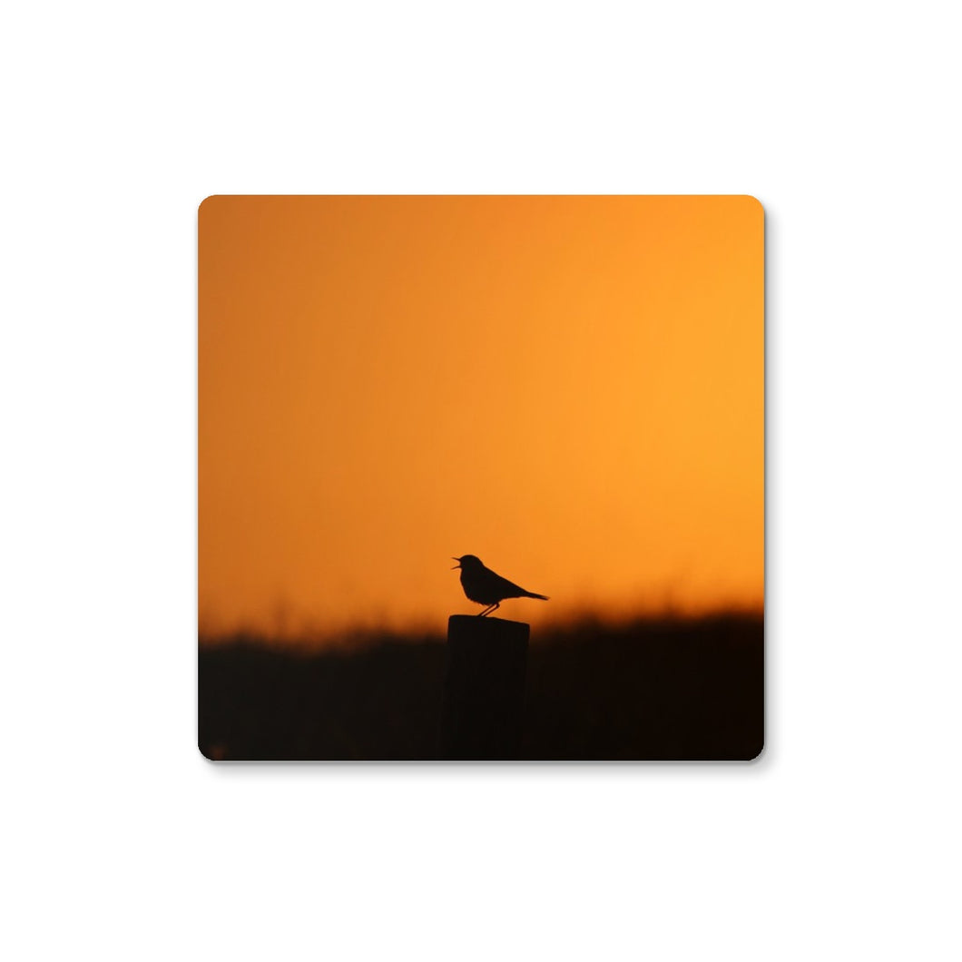 Sunset Tweet Coaster